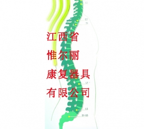 上饒南昌頸椎矯形器